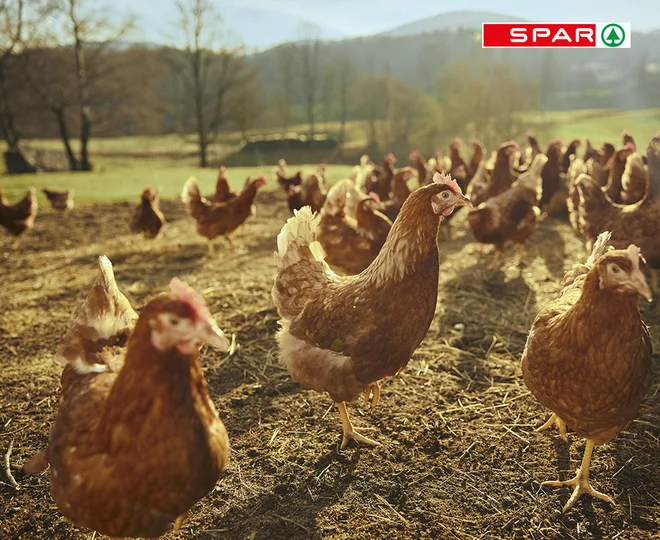 FOTO: Spar Slovenija
