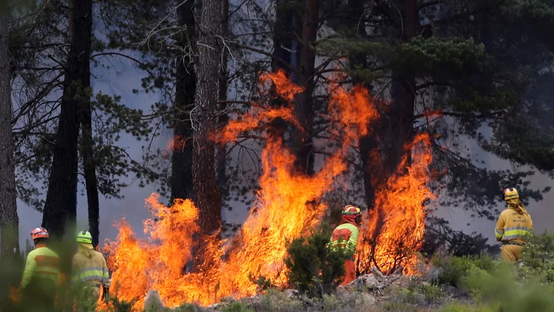 Fotografija: Ogenj je v hribovitem območju Sierra de la Culebra na severozahodu države, nedaleč od meje s Portugalsko, izbruhnil prejšnji teden. FOTO: Isabel Infantes/Reuters