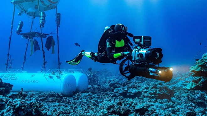 Večni planet: Junaki oceana Foto HBO
