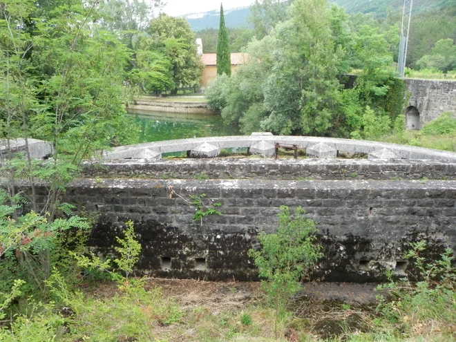 V reki Rižani je treba poskrbeti še za vzdrževanje biološkega minimuma, se pravi za preživetje rib in drugih organizmov. FOTO: Rižanski vodovod
