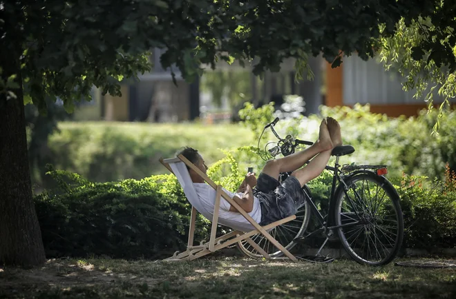 Nekateri za najbolj vroče dneve predlagajo kar kolektivni dopust. Seveda ne zelo aktivnega in v senci.&nbsp;FOTO: Blaž&nbsp;Samec/Delo
