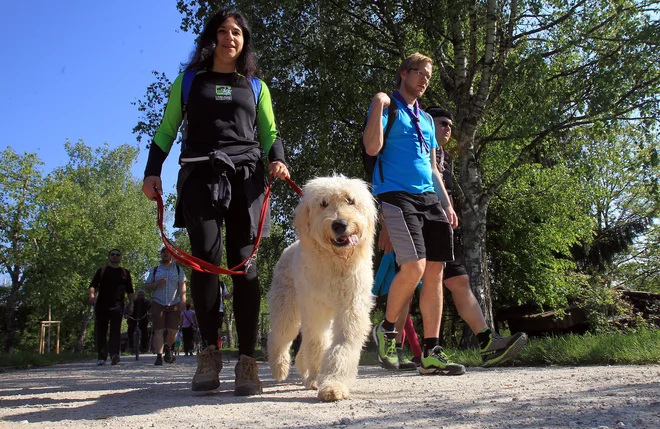 Pogovore ob kavi, zamenjajte s&nbsp;klepetanjem med hojo. FOTO: Blaž&nbsp;Samec/Delo&nbsp;
