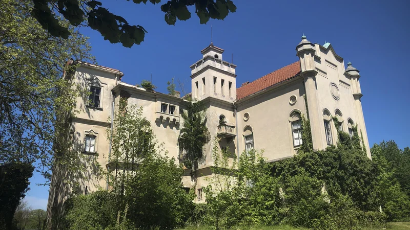 Fotografija: Občina za obnovo izjemnega primera orientalskega dvorca od ministrstva za kulturo pričakuje milijon evrov. FOTO: Jure Eržen/Delo
