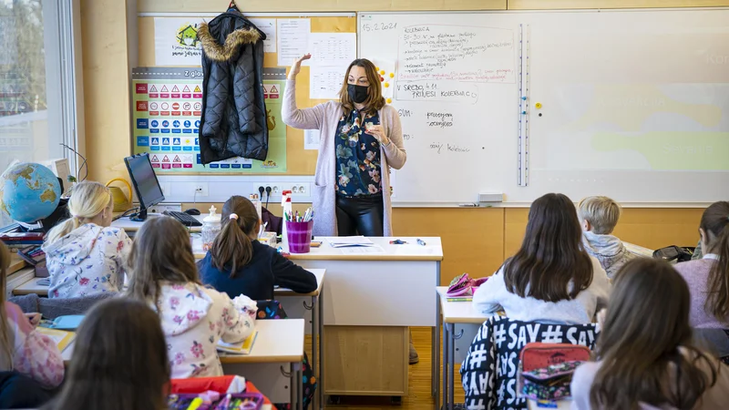 Fotografija: Temeljni cilj nacionalnega preverjanja znanja je dodatna informacija o znanju učencev. Kljub temu dosežkov NPZ ne smemo pretvarjati v ocene. FOTO: Jože Suhadolnik/Delo