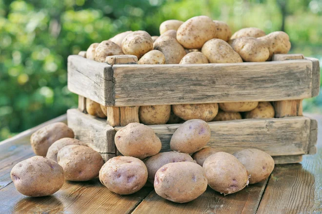 Za vrečo je morala odšteti 20 evrov. FOTO: Shutterstock