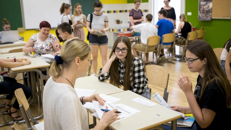 Fotografija: Za najbolj zaželene gimnazije je treba imeti skoraj same odlične ocene. FOTO: Voranc Vogel/Delo
