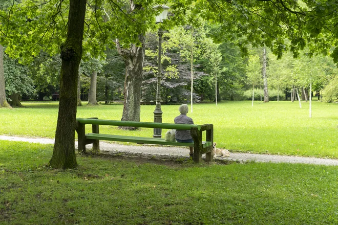 Kljub nevarnostim, ki jih predstavljajo klopi, naj to ne bo izgovor za opustitev gibanja v naravi. FOTO: Vid Svetina/Delo
