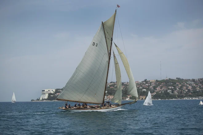 Jadrnica Tuiga. Portorož, Slovenija 1.julija 2022. [morje,jardnice,jadranje,jadra,navtika,delo,delavci,turizem,turisti,poletje,vreme,veter,marine,Bernardin,hoteli,Marina Portorož,obala,Portorož,Slovenija] Foto Foto: Jure Eržen/delo
