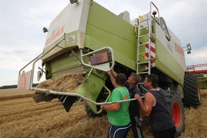 Ena od običajnih težav pri žetvi so okvare mehanizacije, ki jih je treba odpravljati nemudoma. FOTO: Jože Pojbič
