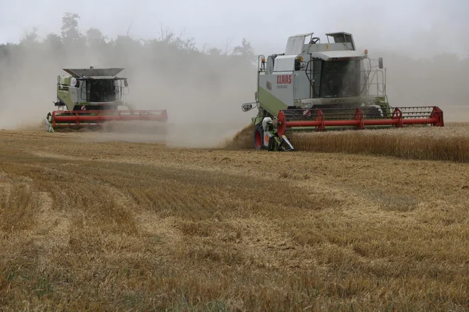 Kombajni Panvite so prvič šli na polja v nedeljo, včeraj pa jim je nadaljevanje dela že preprečil dež. FOTO: Jože Pojbič

