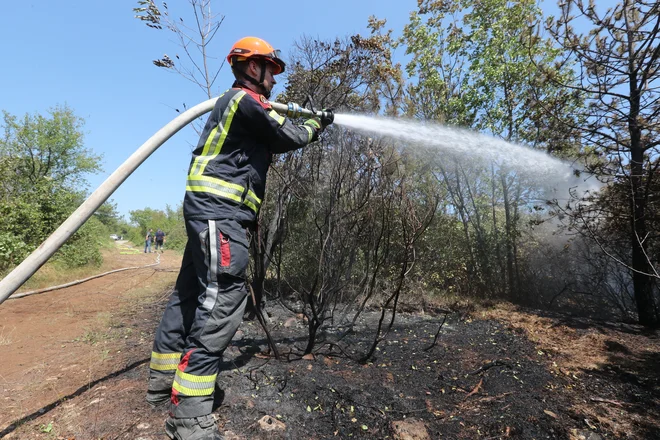 FOTO: Dejan Javornik
