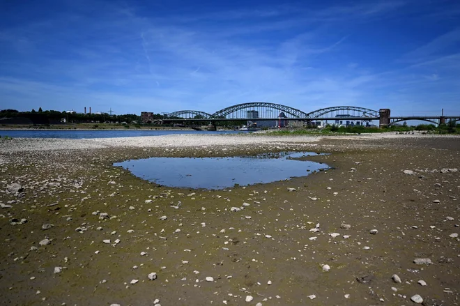 Z večletnimi, ne le poletnimi sušami se spopada vsa Evropa. FOTO: Ina Fassbender/AFP
