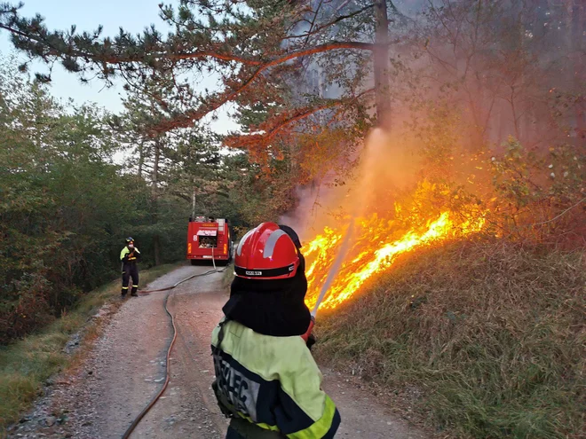 Požar na Goriškem Krasu. FOTO: Ervin Čurlič/Regijski štab CZ za severno Primorsko
