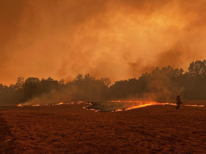 požar, ogenj, Kras, vročinski val, požarna ogroženost. FOTO: Črt Piksi/Delo
