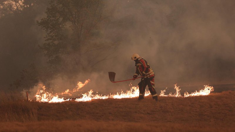 Fotografija: Zaradi močnega vetra in suhih tal se je požar hitro širil, preskakoval razdalje in ustvarjal nova požarišča. FOTO: Črt Piksi/Delo
