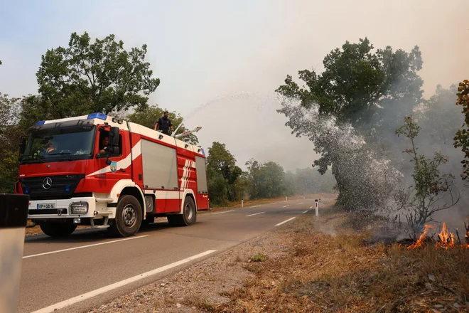 FOTO: Črt Piksi/Delo
