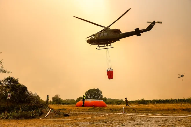 Požar na Krasu. FOTO: Črt Piksi/Delo