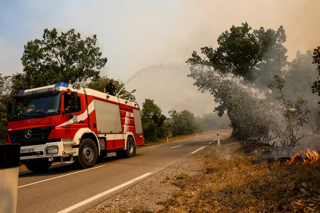 Požar na Krasu. FOTO: Črt Piksi/Delo