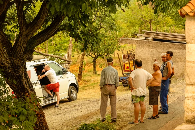 Požar na Krasu. FOTO: Črt Piksi/Delo
