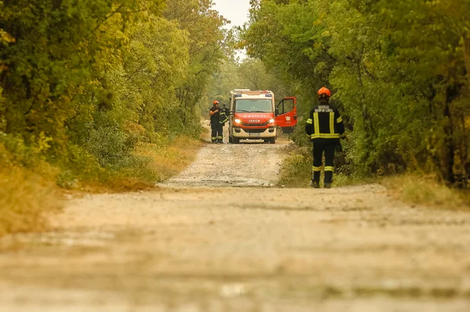 Požar na Krasu. FOTO: Črt Piksi/Delo
