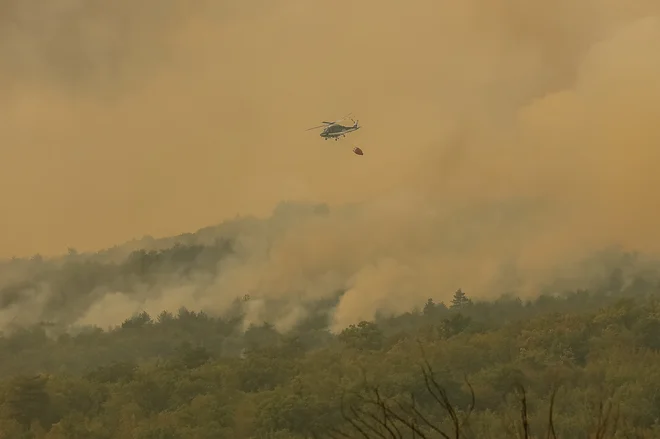 Požar na Krasu. FOTO: Črt Piksi/Delo
