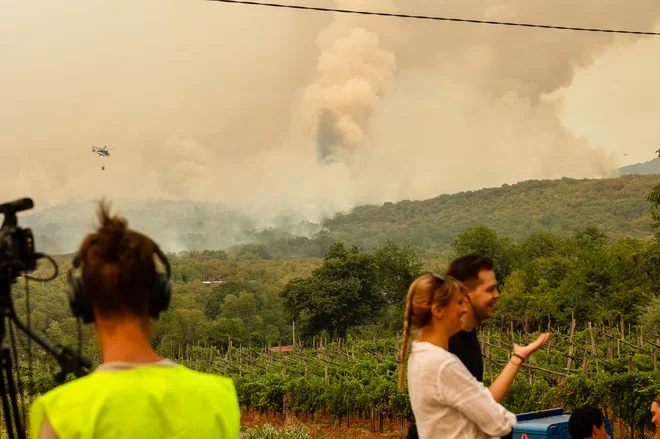 Požar na Krasu. FOTO: Črt Piksi/Delo
