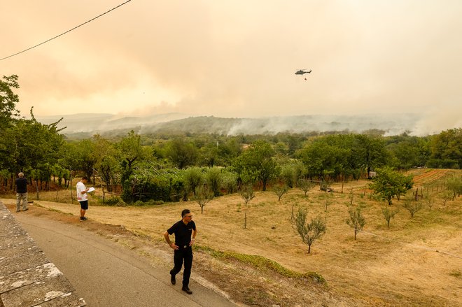 Požar v Kostanjevici na krasu. FOTO: Črt Piksi
