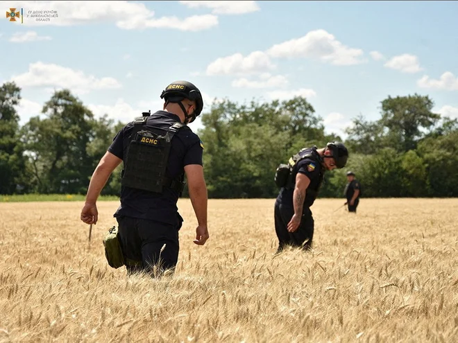 Iskanje eksploziva v žitu v regiji Mikolajev. FOTO: State Emergency Service Of Ukrai Via Reuters
