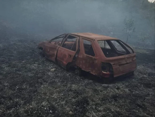 Posledice požara na Krasu. FOTO: Pgd Vrhnika
