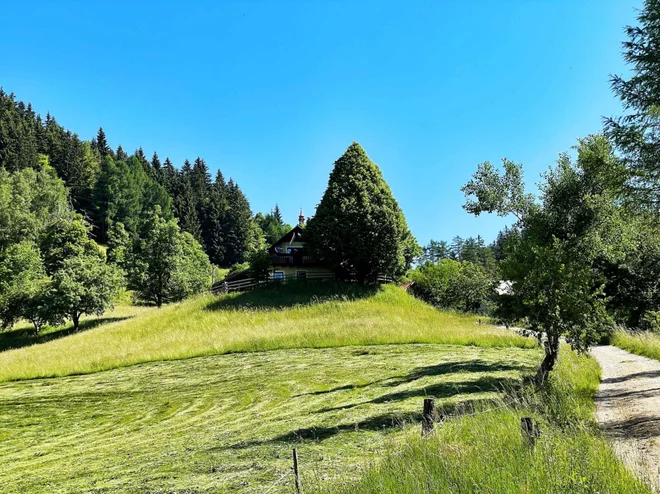 Čreta. FOTO: AMZS
