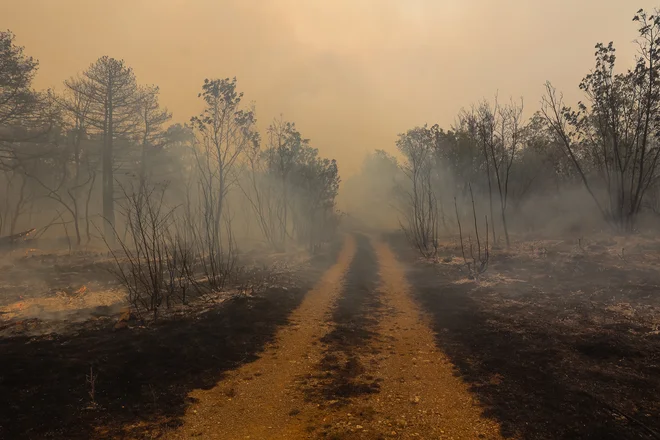Velik izziv za preiskovalce sta ugotovitev vzroka požara in zavarovanje sledi, saj so te zaradi ognja uničene. Foto Črt Piksi
