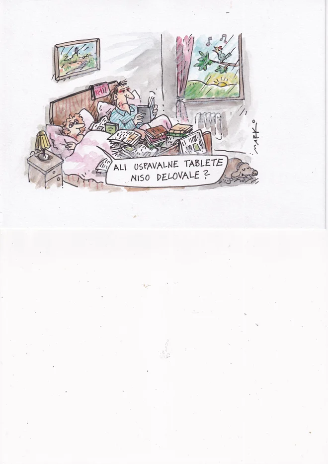 Karikatura: Marko Kočevar
