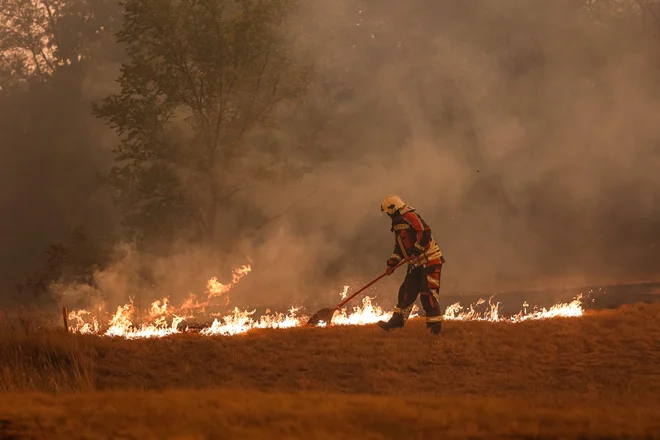 Požar na Krasu. FOTO: Črt Piksi/Delo