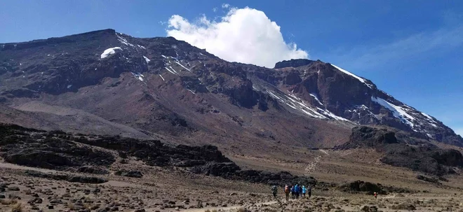 Pot na Kilimanjaro - belo goro.  FOTO: Janez Mihovec 
