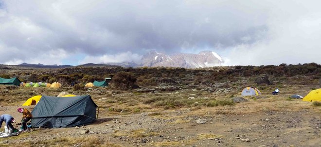 Pot na Kilimanjaro - belo goro.  FOTO: Janez Mihovec 
