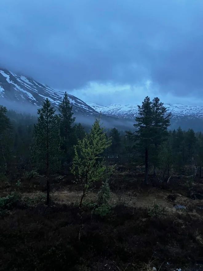 Norveška mračna narava v maju. FOTO: Osebni arhiv
