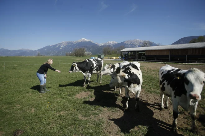 FOTO: Jure Eržen/Delo
