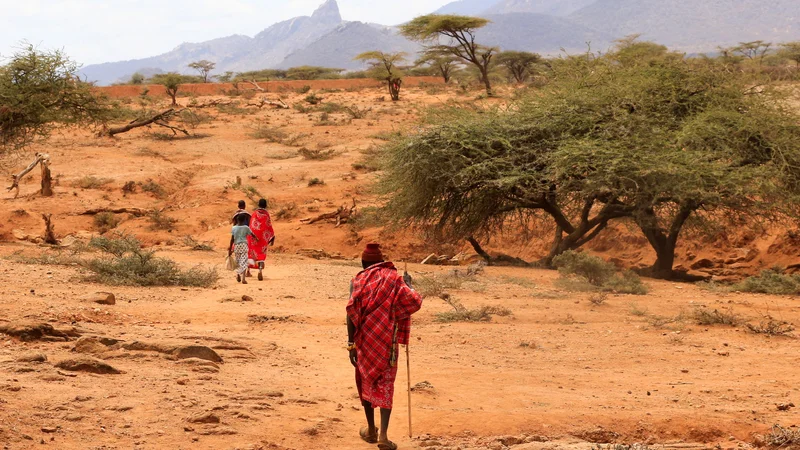 Fotografija: Na Afriškem rogu, v Etiopiji, Keniji in Somaliji, že četrto leto zapored ni dežja, kar za ljudi, živino in ekosistem postaja nevzdržno. FOTO: Thomas Mukoya/Reuters