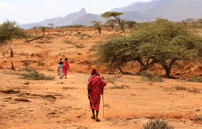 Na Afriškem rogu, v Etiopiji, Keniji in Somaliji, že četrto leto zapored ni dežja, kar za ljudi, živino in ekosistem postaja nevzdržno. FOTO: Thomas Mukoya/Reuters
