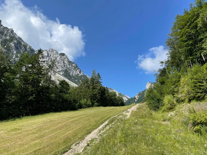 Vzpon po smučišču je sicer precej strm, a popolnoma varen, ravno toliko, da se poviša utrip srca in začutiš vročino, pri tem pa hitro nabiraš tudi višinske metre. FOTO: Tanja Jaklič
