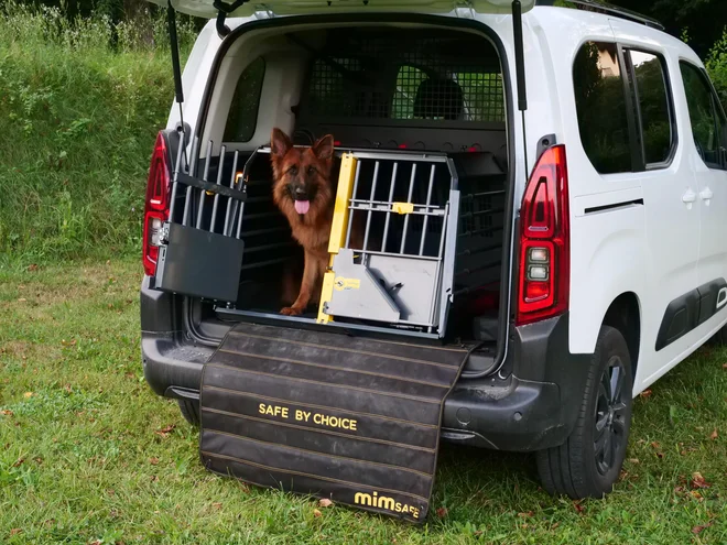 Za prevoz psa so najbolj varni kovinski transportni boksi. FOTO: Blaž Kondža
