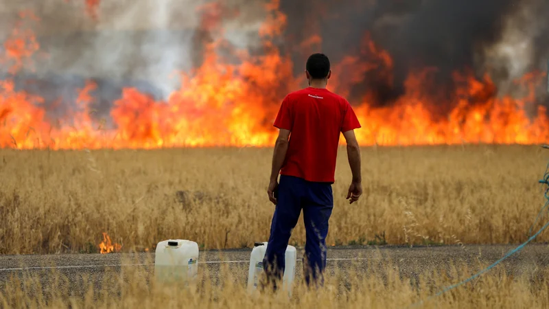 Fotografija: V provinci Zamora so domačini dvakrat v enem mesecu le nemočno opazovali, kako plameni goltajo vse, kar jim stoji na poti. FOTO: Isabel Infantes/Reuters