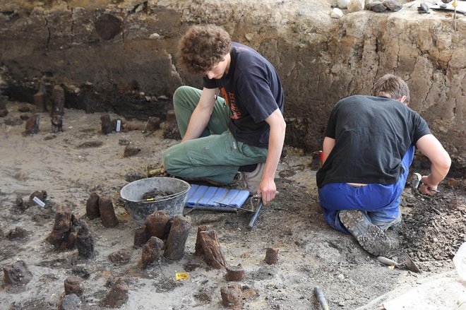 Izkopavanja na območju kolišč na Špici na ljubljanskih Prulah leta 2010. FOTO PRIMOŽ HIENG
