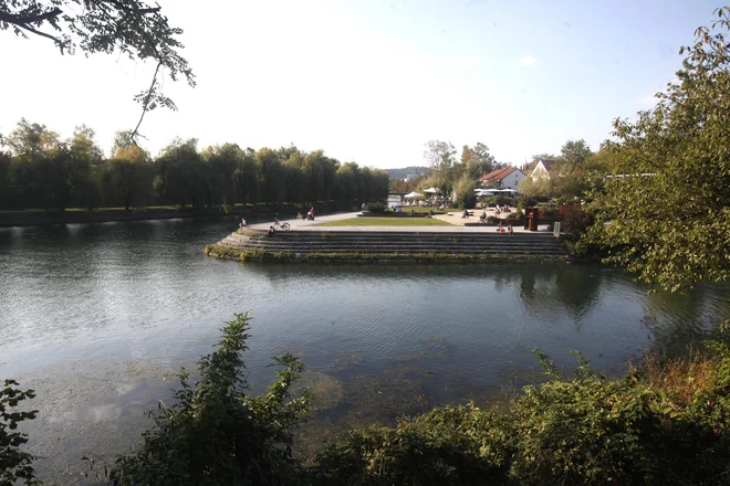 Najpomembnejše arheološko najdišče v Ljubljani, kot ga je opisala nekdanja ministrica za kulturo Majda Širca, na Špici ob Ljubljanici (na fotografiji), je bilo uničeno leta 2011 v času nominiranja evropskih kolišč (tudi na območju Slovenije) na listo Unescove svetovne dediščine. FOTO MAVRIC PIVK
