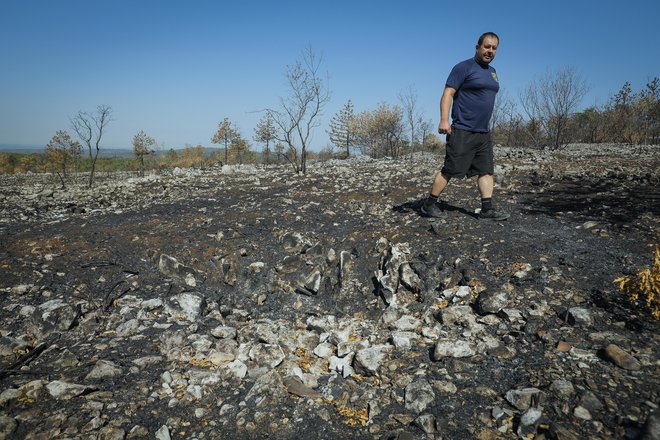 V požaru je bilo uničenih okrog 3600 hektarov gozdov in drugih zemljišč. FOTO: Jože Suhadolnik/Delo
