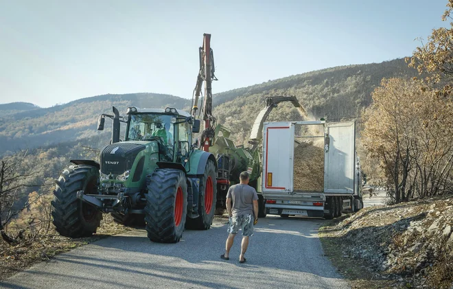 Med Renčami in Trsteljem se je že začelo čiščenje gozda. FOTO: Jože Suhadolnik/Delo
