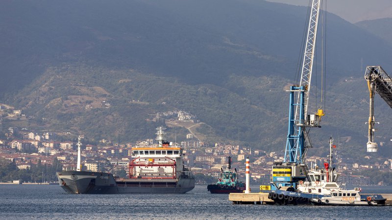 Fotografija: Ladja Polarnet je plula pod turško zastavo in prevažala 12.000 ton koruze iz Ukrajine. FOTO: Umit Bektas/Reuters
