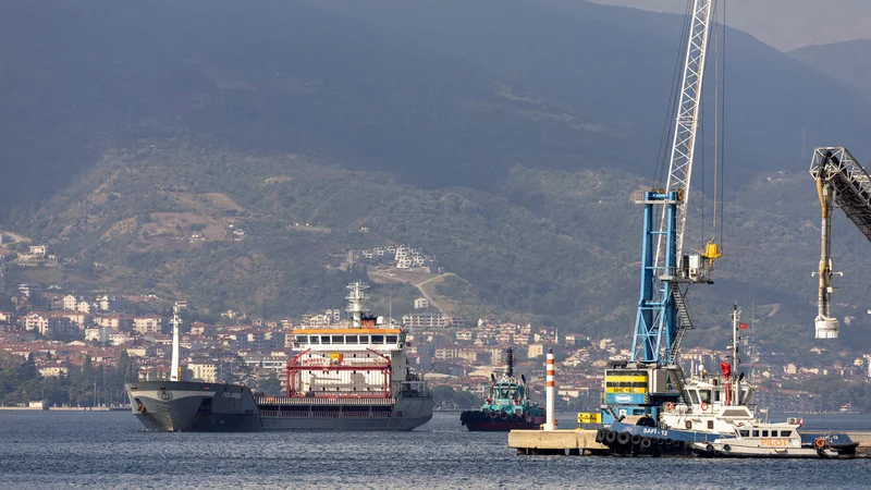 Fotografija: Ladja Polarnet je plula pod turško zastavo in prevažala 12.000 ton koruze iz Ukrajine. FOTO: Umit Bektas/Reuters