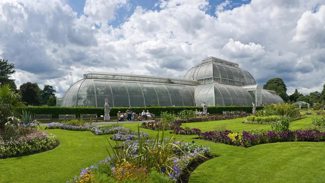 V kraljevih vrtovih Kew kradeta pozornost tudi viktorijanska bisera. Na fotografiji Temperate House iz leta 1860. Foto Wikipedija
