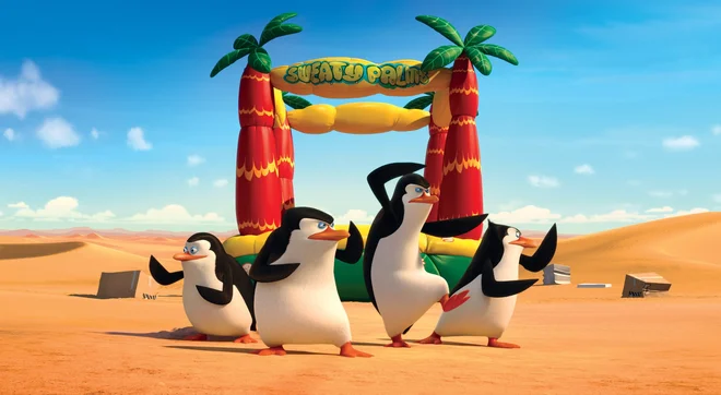Pingvini z Madagaskarja Foto Pro Plus
